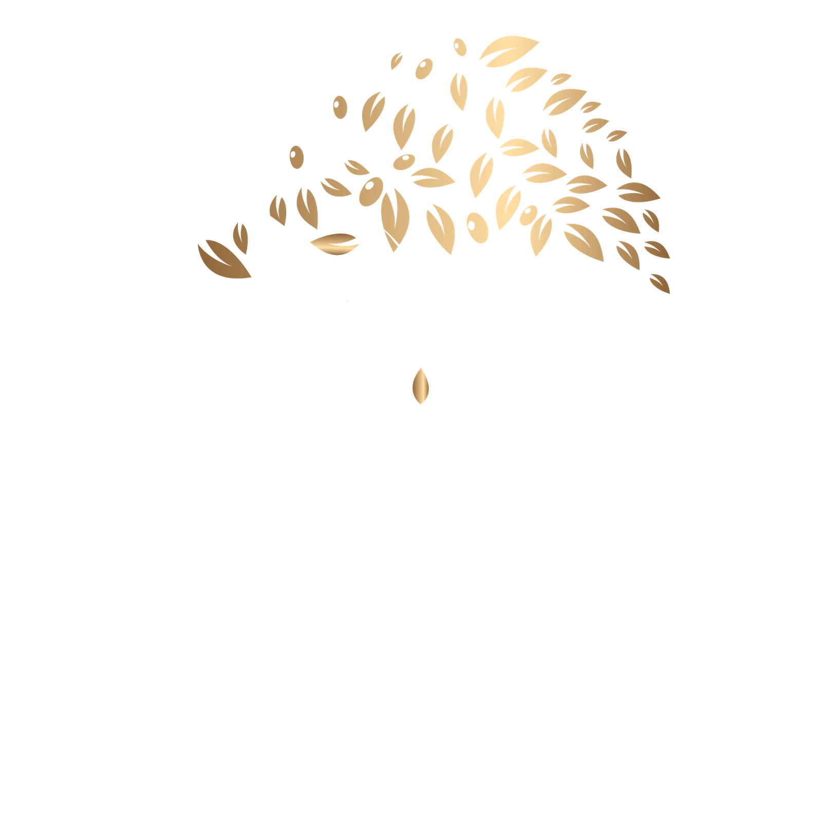 onesoul-wellness