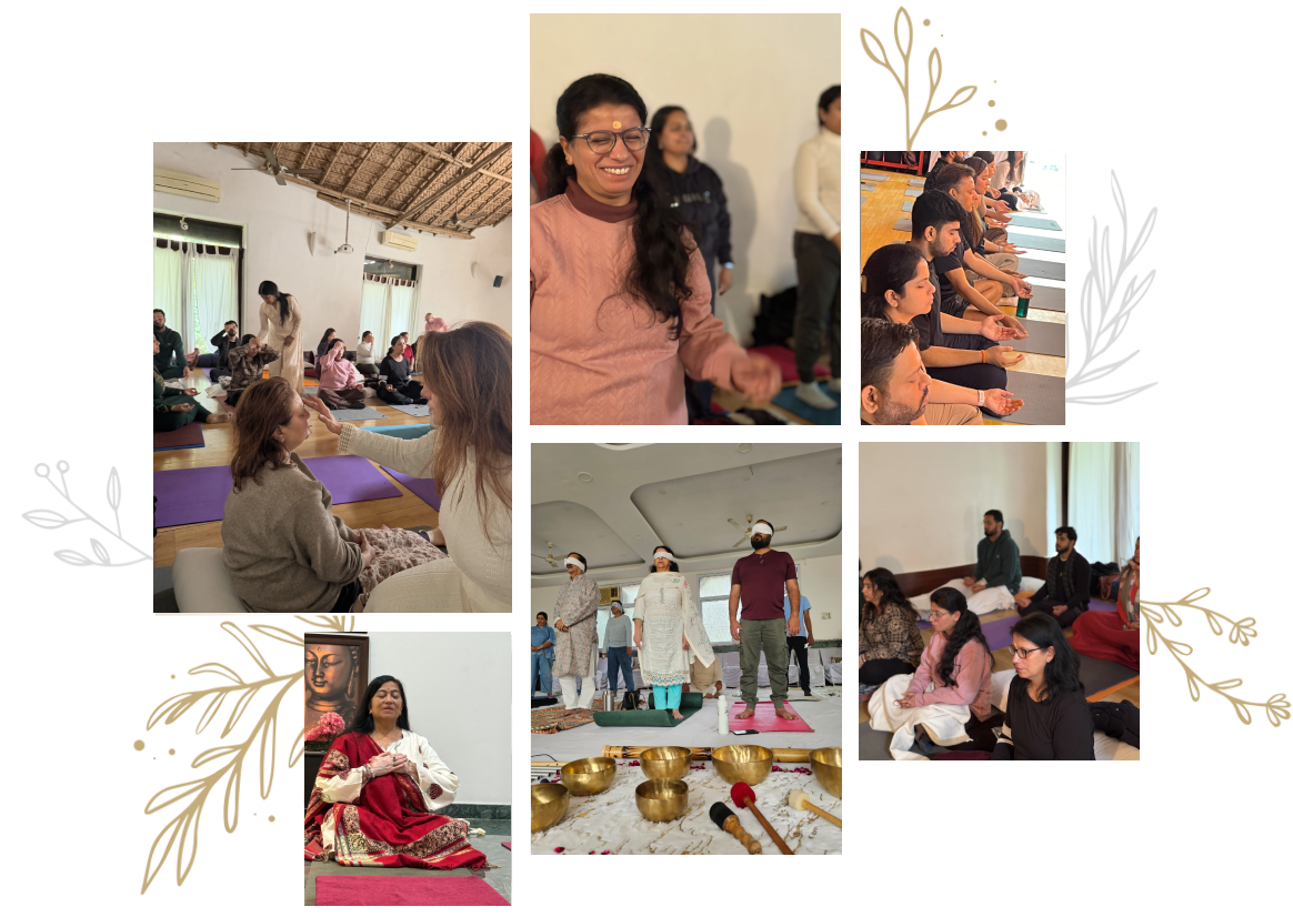 One Soul Wellness | Holistic Healing, Meditation & Therapy