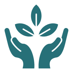 Nature Grounding & Stillness Rituals